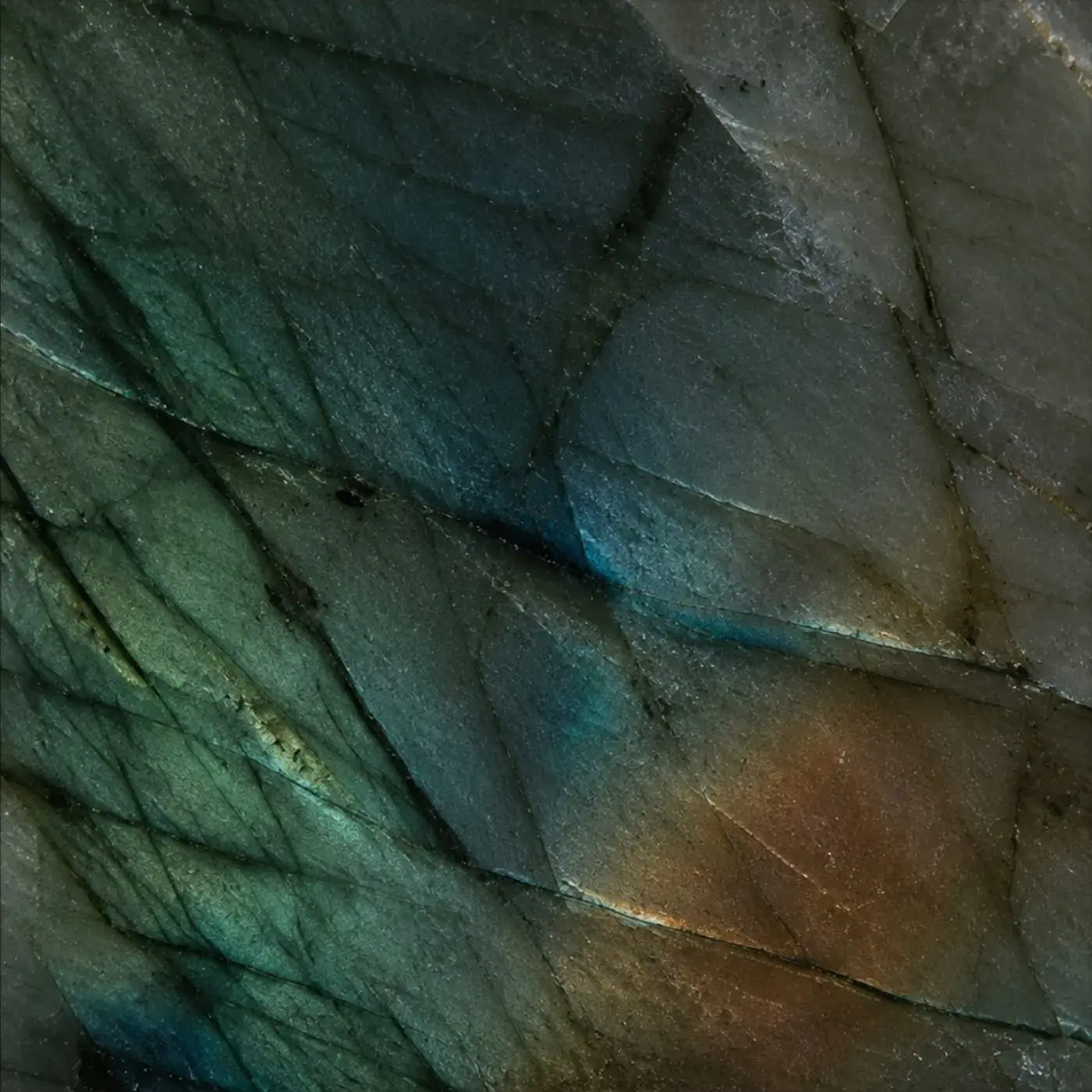 Marea · Litoral — detalle de la piedra
